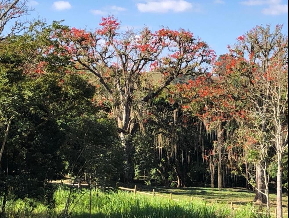 Vivenda Dos Guaranys -Um Projeto Ecologico - Casa Villa Conservatoria Luaran gambar