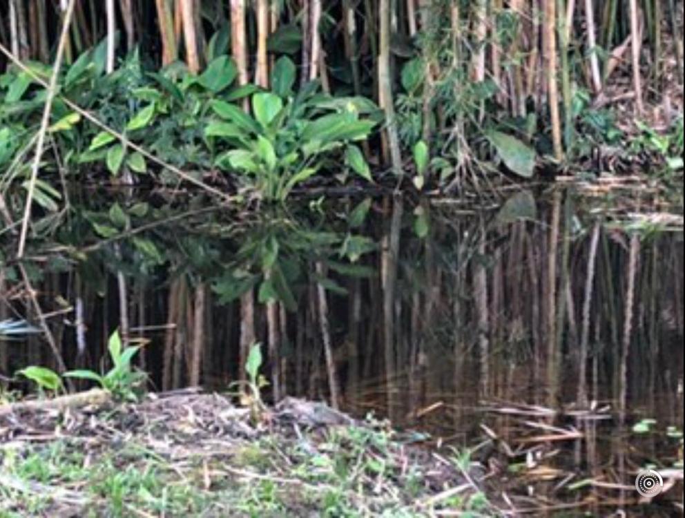 Vivenda Dos Guaranys -Um Projeto Ecologico - Casa Villa Conservatoria Luaran gambar
