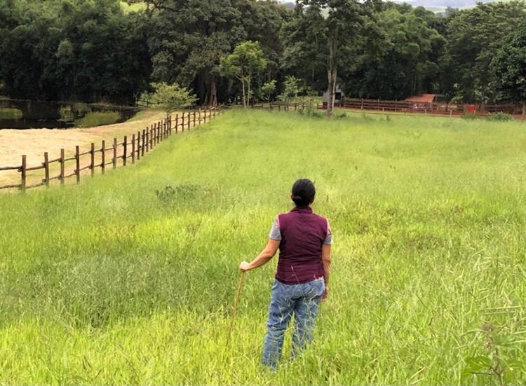 Vivenda Dos Guaranys -Um Projeto Ecologico - Casa Villa Conservatoria Luaran gambar